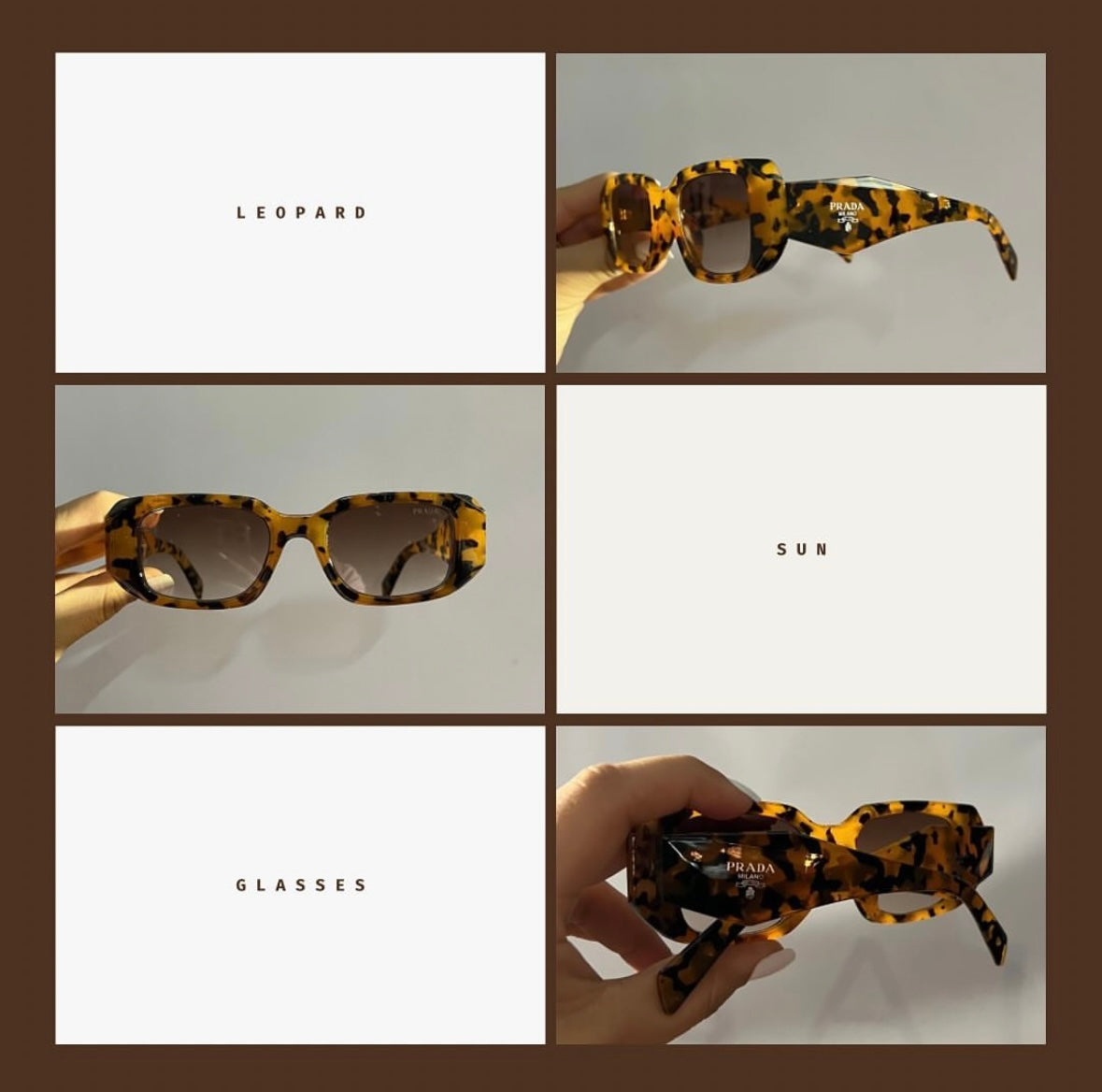 Leopard Sunglasses